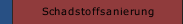 Schadstoffsanierung